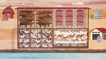 Free download [푸드포체인지] 동물복지 교육 : 고기 속에 숨겨진 비밀 A secret hidden in meat video and edit with RedcoolMedia movie maker MovieStudio video editor online and AudioStudio audio editor onlin